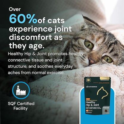 VetriScience Veterinary Strength Healthy Hip & Joint Chews - Cat Joint & Soft Tissue Health Supplement for Mobility - Clinical Strength Formula - Chicken Flavor - 60 Count