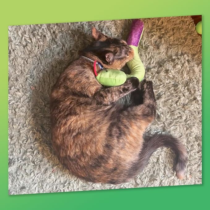 ZOOMIE Snake Kicker - Refillable Catnip Toy + Catnip | High Potency Hand Harvested Fresh | Soft Plush for Engaging Play