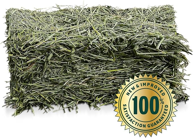 Eaton Pet and Pasture Naturally Grown, Premium, 1st Cut Blend, Western Timothy Hay Orchard Blend, Small Animal Food, Sustainable, Eco-Friendly, Farmer-Owned, 6LB-Box.