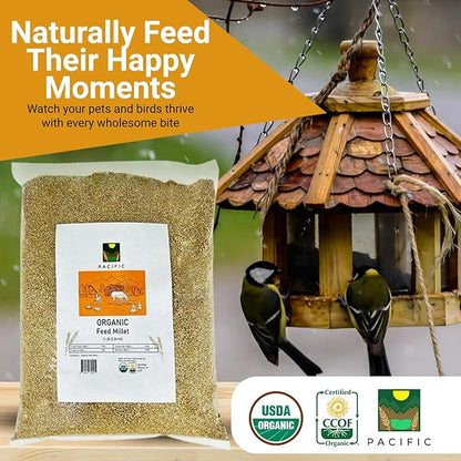 PACIFIC Organic Petfood Organic Feed Millet - Millet Bird Seed | Rich with Fiber & Minerals | USDA and CCOF Certified | Packed in USA (5 Pound (Pack of 1))