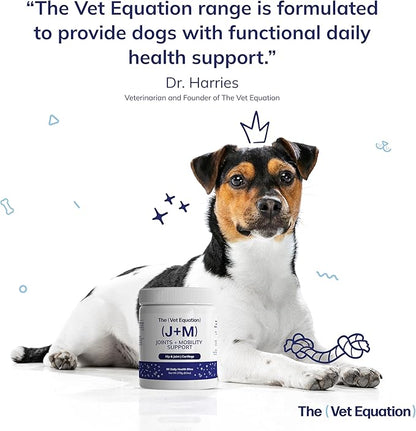 Joints & Mobility Support for Dogs  Duck-Flavored, 90 Chews  with Glucosamine, Chondroitin & Hyaluronic Acid  Supports Joint Health, Cartilage & Flexibility for Active Mobility
