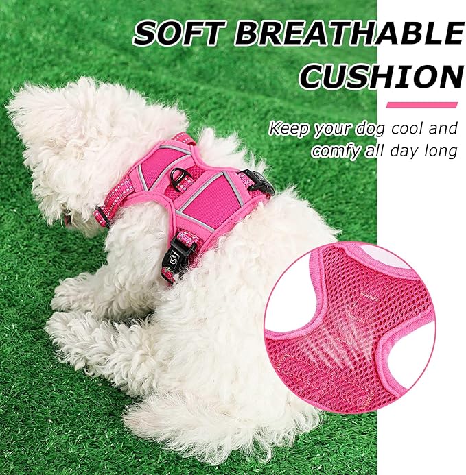 Dog Harness Small Sized Dog, No Pull Pet Harness with 2 Leash Clips, Adjustable Soft Padded Dog Vest Harnesses, Reflective No-Choke Pet Oxford Vest