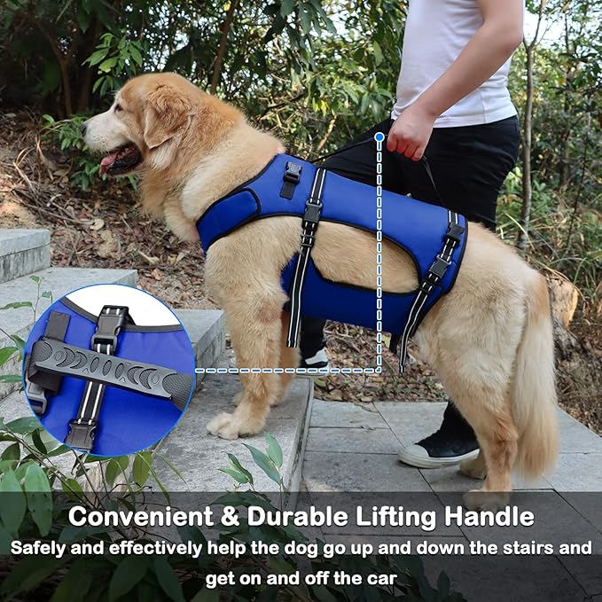 Dog Lift Harness, Full Body Support & Recovery Sling, Pet Rehabilitation Lifts Vest Adjustable Breathable Straps for Old, Disabled, Joint Injuries, Arthritis, Paralysis Dogs Walk (Blue, XXL)