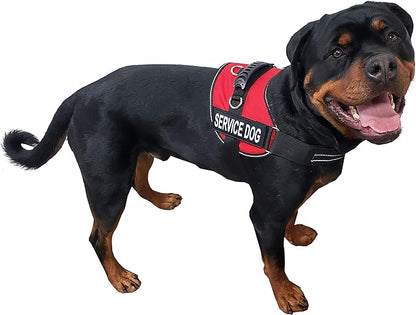 ActiveDogs Air-Tech Cordura Service Dog Vest Harness, Medium Girth 22"-30" w/Handle, ADA Cards + Reflective Service Dog Patches - Red