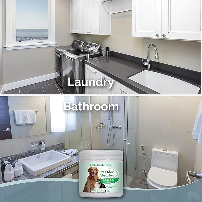 SMELLS BEGONE Air Freshener Odor Absorber Gel - 15 oz, Pack of 2 - Absorbs and Eliminates Odor in Pet Areas, Bathrooms, Cars, & Boats - Made with Essential Oils - Calming Rain Scent