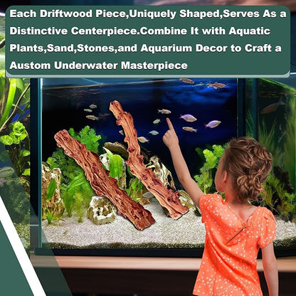 Natural Wood Driftwood for Aquarium Fish Tank Wood,Extra Large Trunk Driftwood for Reptile Tank Decor (SLM-Trunk M (13 to15 Inch)-Pack of 2)