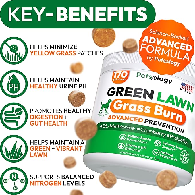 Dog Urine Neutralizer for Lawn - 170 Green Lawn Chews for Dogs - Pee Grass Burn Spot Saver Caused by Dog Urine with Probiotics & Digestive Enzymes - Advanced Gut Health Supplement, Rocks