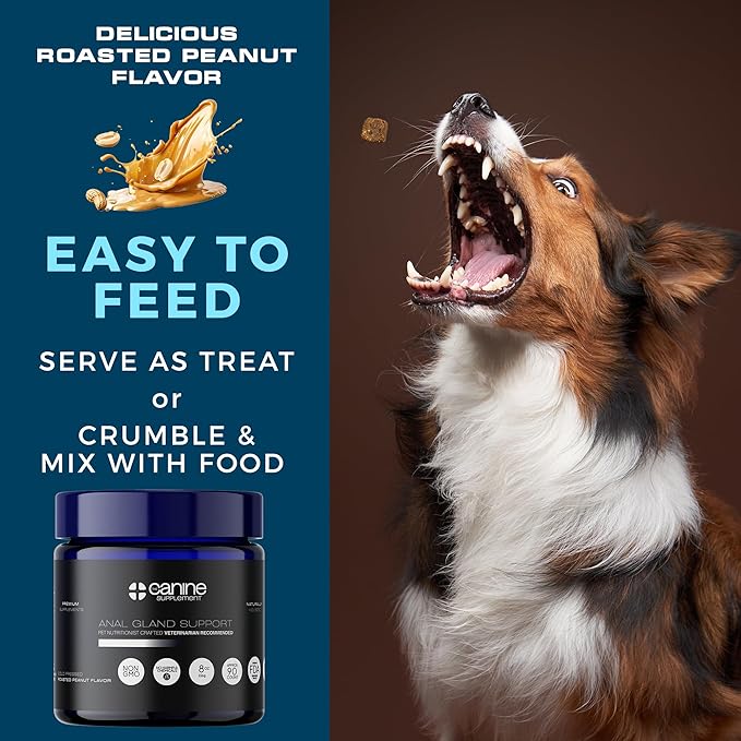 Anal Gland Support for Dogs | High-Fiber Digestive Soft Chews with Pumpkin & Flaxseed | No Scoot Aid for Itchy Bums, Healthy Poop & Gut Function | Peanut Flavor, 90 Count