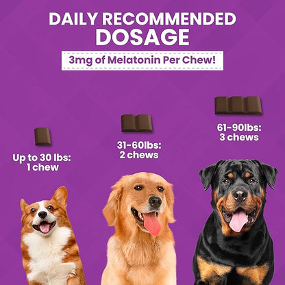 Nootie ProgilityMAX Calming Aid Chews for Dogs, Maximum Strength Calming Support for Dogs with Melatonin, 12 Single-Serve Bars, 4 Chews Per Bar