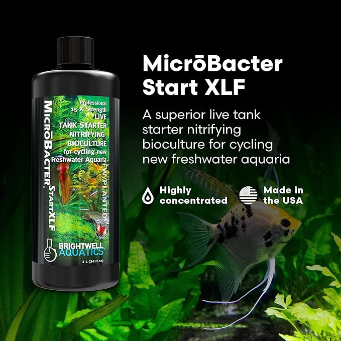 Brightwell Aquatics MicroBacter Start XLF - Concentrated Freshwater Nitrifying Bacteria - Quick Start Fish Tank Starter, Lift Microbe Levels & Water Filtering - Aquarium Water Treatments, 33.8 fl oz