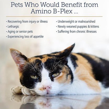 Rx Vitamins Amino B Plex Cat & Dog Supplement - Vitamin B Complex Liquid Plus Amino Acids for Dogs & Cats - Appetite Booster and Weight Gainer Cat & Dog Vitamins - 2 oz