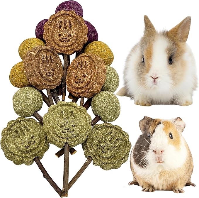 Fhiny Rabbit Chew Toys, 15 PCS Natural Bunny Lollipop Chew Sticks Handmade Guinea Pig Molar Treats for Teeth Small Animals Snacks for Guinea Pig Bunny Chinchilla Hamster Gerbil Teeth Care