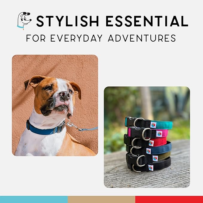 Dog Collar, Lightweight, Heavy Duty Dog Collar with Buckle, Fabric Pet Collar, Breathable & Adjustable Puppy Collar, Dog Collars for Medium Dogs (Navy, Medium - 10-16 Inch) - Wildebeest