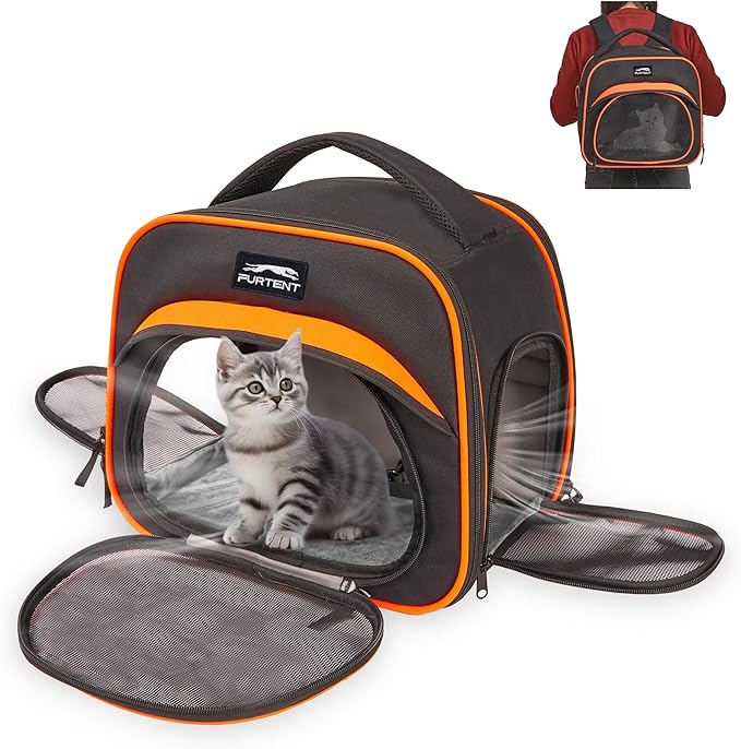 Cat Carrier Backpack, Breathable Collapsible Pet Bag with Safety Leash for Guinea, Kitten, Rabbit Weighing up to 8 Pounds Designed for Travel, Hiking, Walking and Outdoor Use, Black-Orange