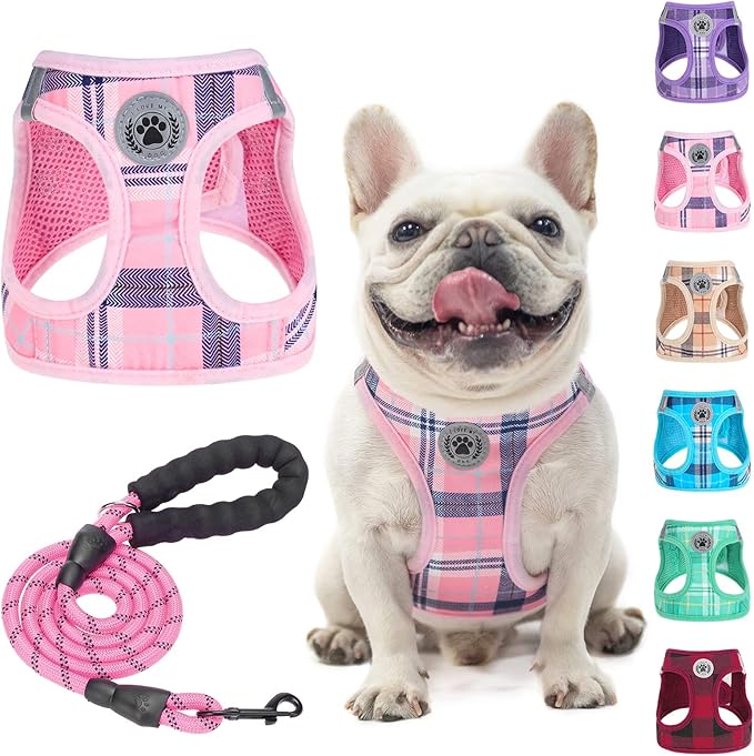 BEAUTYZOO Small Dog Harness and Leash Set,Step in No Chock No Pull Soft Mesh Dog Harnesses Reflective for Extra-Small/Small Medium Puppy Dogs and Cats, Plaid Dog Vest Harness for XS S Pets, Pink M
