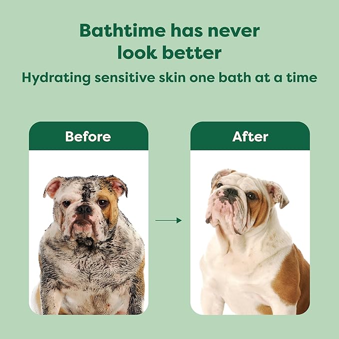 Earth Rated 3-in-1 Soothing Dog Shampoo and Conditioner, Deodorizing Oatmeal Shampoos for Dogs and Puppies, Great for Smelly Pets, White Tea and Basil Scent, 16 oz