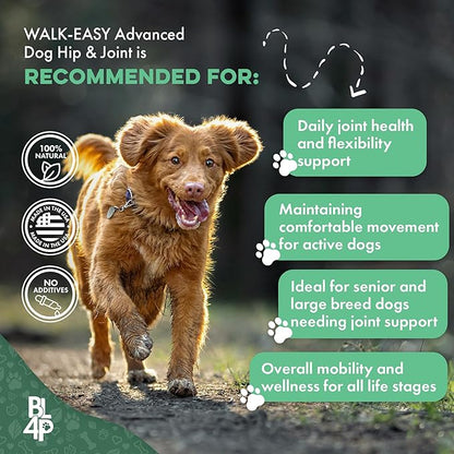 Large Breed Hip and Joint Supplement for Dogs - Premium Natural Joint Support and Mobility Relief Helps Ease Stiffness so Senior Dogs can Climb Stairs, Walk Pain Free and Play Again (180 Tiny Pills)