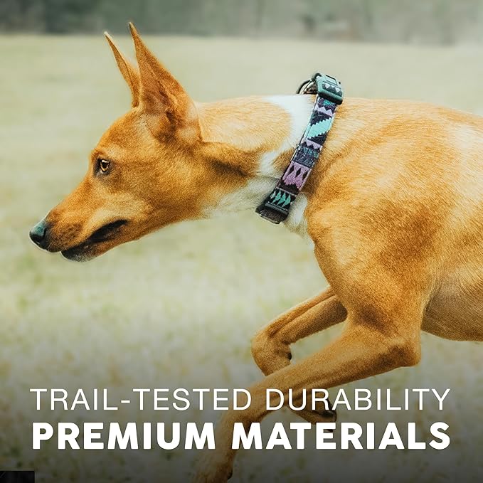 Embark Urban Dog Collar  Dog Collar Stylish & Durable Nylon Dog Collar for Large Dogs, Small Dogs & Medium Dogs.Comfortable Pet Collar Strong Buckles for Any Size Breed (Aztec, Small)