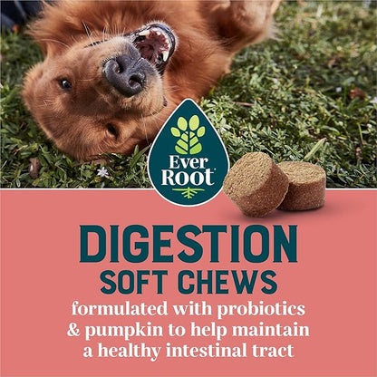 by Purina Digestion Dog Supplements Soft Chews - 10.6 oz. Canister