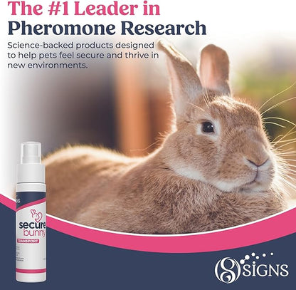 SecureBunny Transport, Water Based Calming Travel Spray, Naturally Supports Calm and Wellbeing, Naturally Relieving Anxiety and Stress