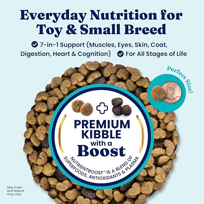 Solid Gold Toy & Small Breed Dry Dog Food Small Bites  Real Lamb, Grain Free, Gluten Free, High Fiber Healthy Kibble w/Probiotics for Gut Health & Digestion Support All Ages NutrientBoost 3.75LB