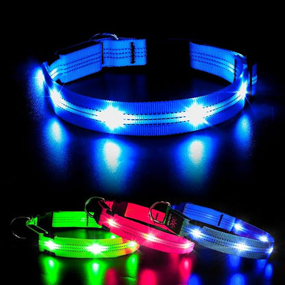 BSEEN Light Up Dog Collars - Glowing LED Dog Collar, Reflective Puppy Collar, Adjustable Lighted Dog Collar, Rechargeable Pet Collar for Night Walking (Blue-II, Small)