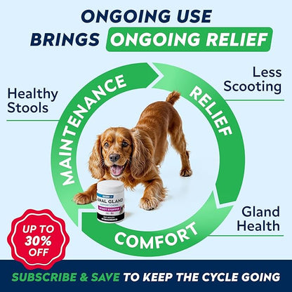 STRELLALAB Anal Gland Support Chews - Scoot Treatment - Digestive Enzymes, Prebiotics & Fiber Supplement for Dogs Digestion & Gut Health. Proprietary Blend of Beet, Psyllium, Dandelion & Pumpkin 120Ct