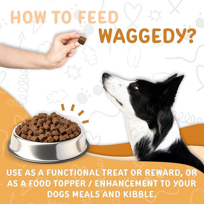 waggedy Omega Max Chews for Dogs with Salmon Oil & Flaxseed — Dog Essentials for Shiny Coats & Healthy Skin — Dog Supplements & Vitamins (60 Chews)