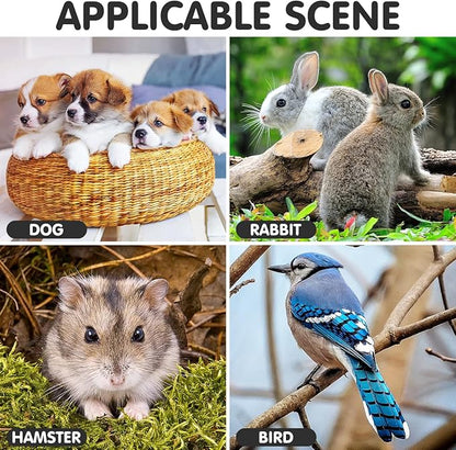 DOITOOL Dog Crate Tray Replacementï¼2PCS Crate Replacement Tray 17.2 Inch for Pet Cages, Crates, and Kennels for Dogs, Cats, Rabbits, Ferrets, and Critters