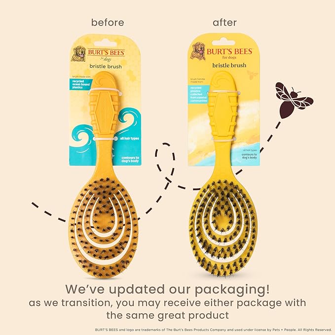 Burt's Bees for Pets Bristle Brush with Natural Boars Hair & Nylon with Handle Made from Recycled Plastics Collected from Coastal Communities | De-Shedding Dog Brush | Eco Friendly Dog Grooming Brush