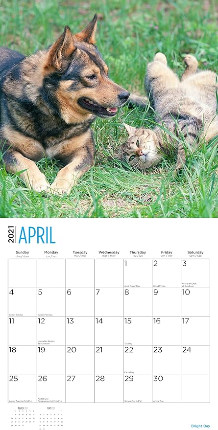 2-Speed USB Rechargeable Electric Cat Dog Pet Nail Trimmer 03