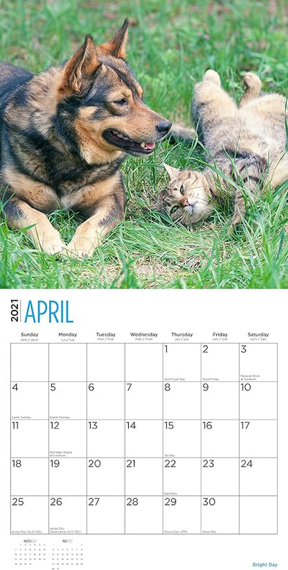 2-Speed USB Rechargeable Electric Cat Dog Pet Nail Trimmer 03