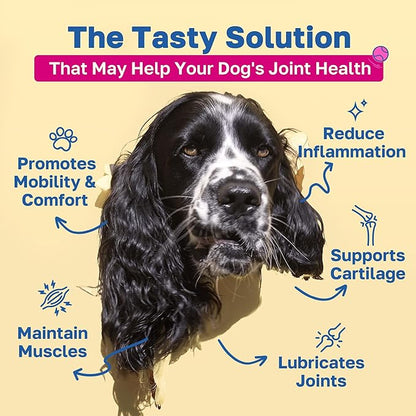 Happy Paws Hip & Joint Supplement for Dogs, Joint Health & Mobility Support for All Breeds & Ages, Made with Hyaluronic Acid & Turmeric, Vegan Bacon Flavor, Organic, Non GMO, 200 Soft Chews
