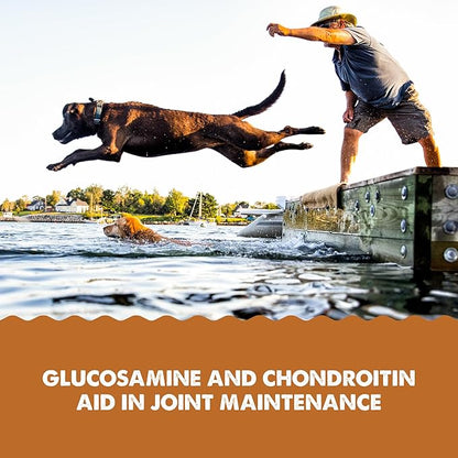 GRIZZLY PET PRODUCTS Joint Aid Liquid Hip and Joint Health Supplement Product for Dogs and Cats, 16 Ounce