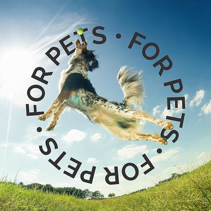 Bark2Basics Senior Bark Dog Shampoo | 1 Gallon, Expertly Crafted for Senior Dogs, Enriched with Menthol and Aloe Vera, Provides Soothing to Muscles and Joints, Follicle Stimulating