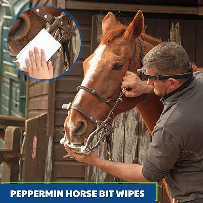3 Pack Horse Bit Wipes 120 Pcs Peppermint Horse Bit Cleaners for Happy Horse Disposable Cleaning Wipes for English or Western Bits