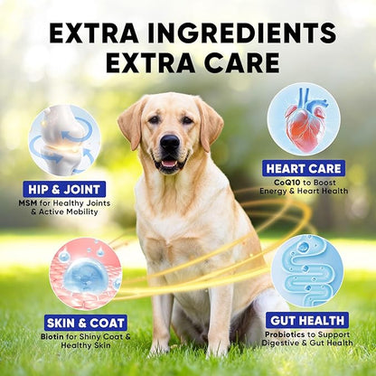 Fish Oil for Dogs – Dog Fish Oil Supplement with Salmon Oil from 8 Deep-Sea Fish, Rich in DHA & EPA for Skin & Coat Health, Allergy Relief, MSM, Plus Probiotics for Gut – 180 Soft Chews