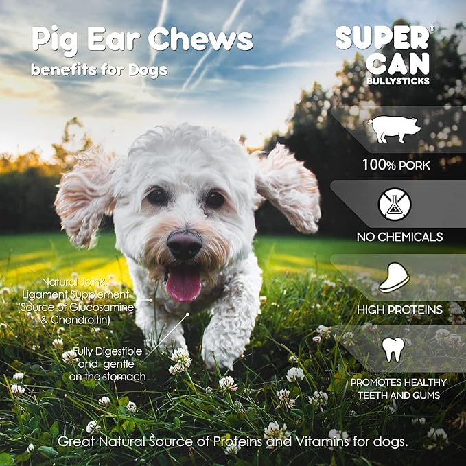 Supercan Bully Sticks Pig Ear Chews for Dogs – Half Pig Ears (15 Count) - All Natural Dog Treats - Healthy Chews for Large Medium & Small Dogs - Promotes Dental Health - Long Lasting