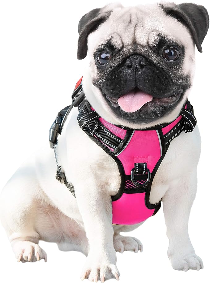 PHOEPET No Pull Dog Harnesses for Small Dogs Reflective Adjustable Front Clip Vest with Handle 2 Metal Rings 3 Buckles [Easy to Put on & Take Off](XS, Pink)
