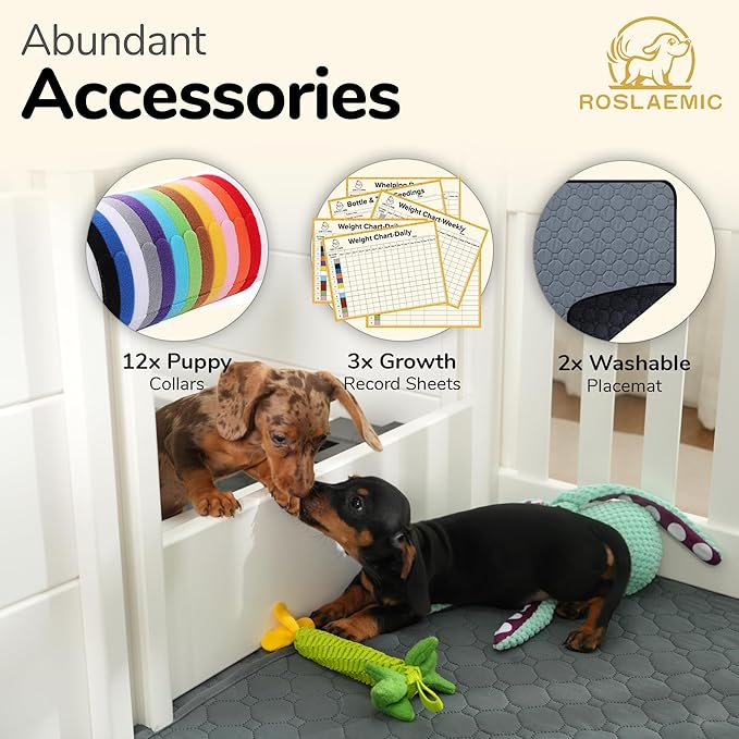 2 Room Whelping Box for Dogs and Puppies with Rails, 96" L x 48" W x 19" H, Suitable for Large/Extra Large Dogs, White