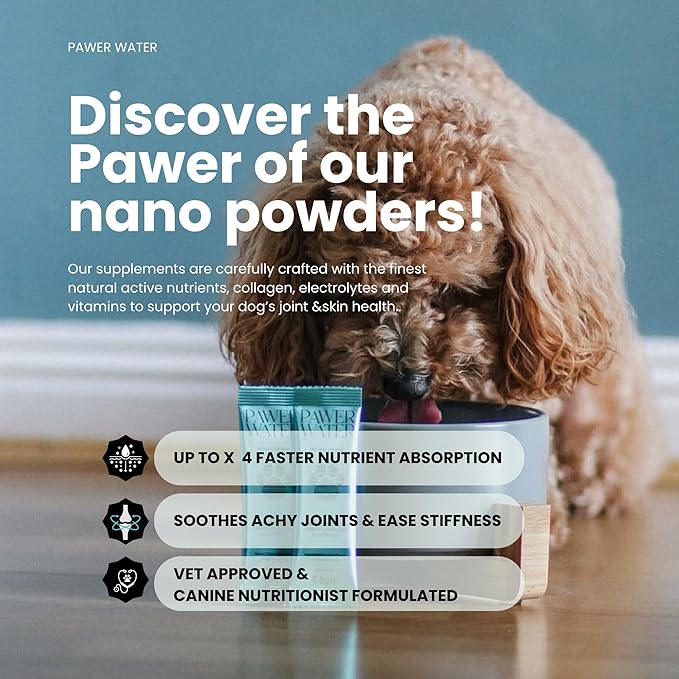 Advanced Joint & Hydration Supplement for Dogs – Vet-Approved - Soluble Powder with Collagen, Electrolytes, 7 Active Nutrients & Vitamins – Chicken Broth Flavor (Up to 4 Weeks Supply)