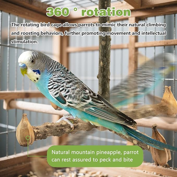 4-Piece Natural Wood Bird Cage Perch Set: Rotating Perch, Swing & Ladder Perfect for Parrots, Parakeets, Cockatiels, Lovebirds, Conures, Budgies, Quakers, and All Small to Medium Birds