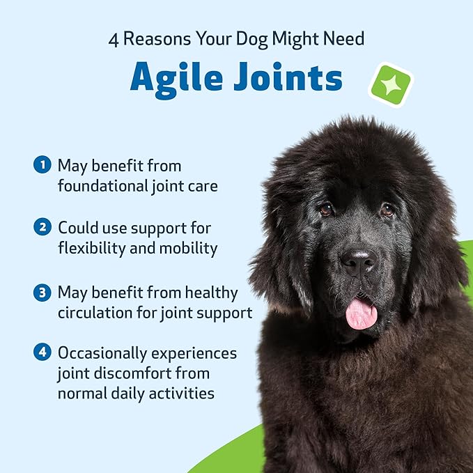 Pet Wellbeing Agile Joints for Dogs - Hip and Joint Health, Mobility, Devil_ Claw, Boswellia, Joint Ligament and Cartilage - Veterinarian-Formulated Herbal Supplement 2 oz (59 ml)