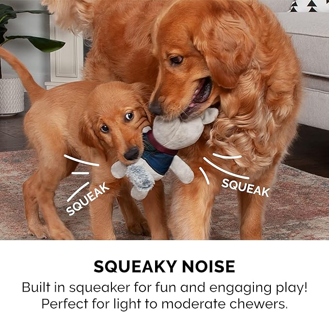 Furhaven 2-Pack Squeaky Plush Dog Toys for Small/Medium Dogs, Washable w/ Ruff Stuff Reinforcement - Dapper Dandies Woodland Collection - Bear/Squirrel, Set of 2