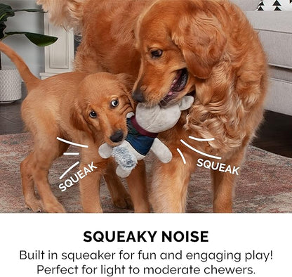 Furhaven 2-Pack Squeaky Plush Dog Toys for Small/Medium Dogs, Washable w/ Ruff Stuff Reinforcement - Dapper Dandies Woodland Collection - Bear/Squirrel, Set of 2
