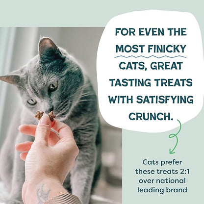 Shameless Pets Crunchy Cat Treats - Catnip Treats for Cats with Digestive Support, Natural Ingredients Kitten Treats with Real Chicken, Healthy Flavored Feline Snacks - Catnip N Chill, 3-Pk