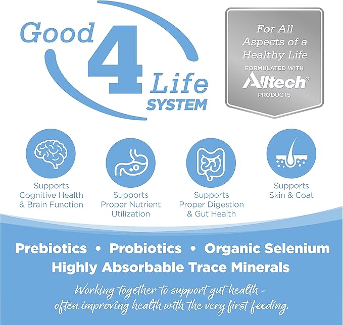 NutriSource Dog Food, Made with Trout and Rice, Large Breed, with Wholesome Grains, 30LB, Dry Dog Food