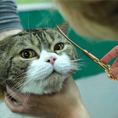 Dog Grooming Scissors, with Ergonomic Handle, Pill Popper for Cats, Upper Bend Shears, Stainless Steel Curved Shears for Dogs Cats, Gold Tone, 7.5inch