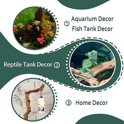 Natural Wood Driftwood for Aquarium Fish Tank Wood,Extra Large Trunk Driftwood for Reptile Tank Decor (SLM-Trunk M (13 to15 Inch)-Pack of 2)