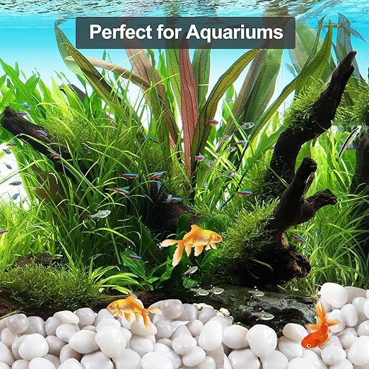 20Ib White River Rocks for Landscaping- High Polished Pebbles for Plants-Garden Decorative Stones-1-2 Large Plant Rocks,Ideal for Aquarium, Home Decor